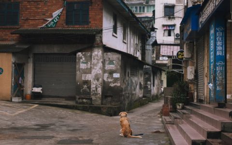 乐山旅游产业,乐山城市旅游产品分析