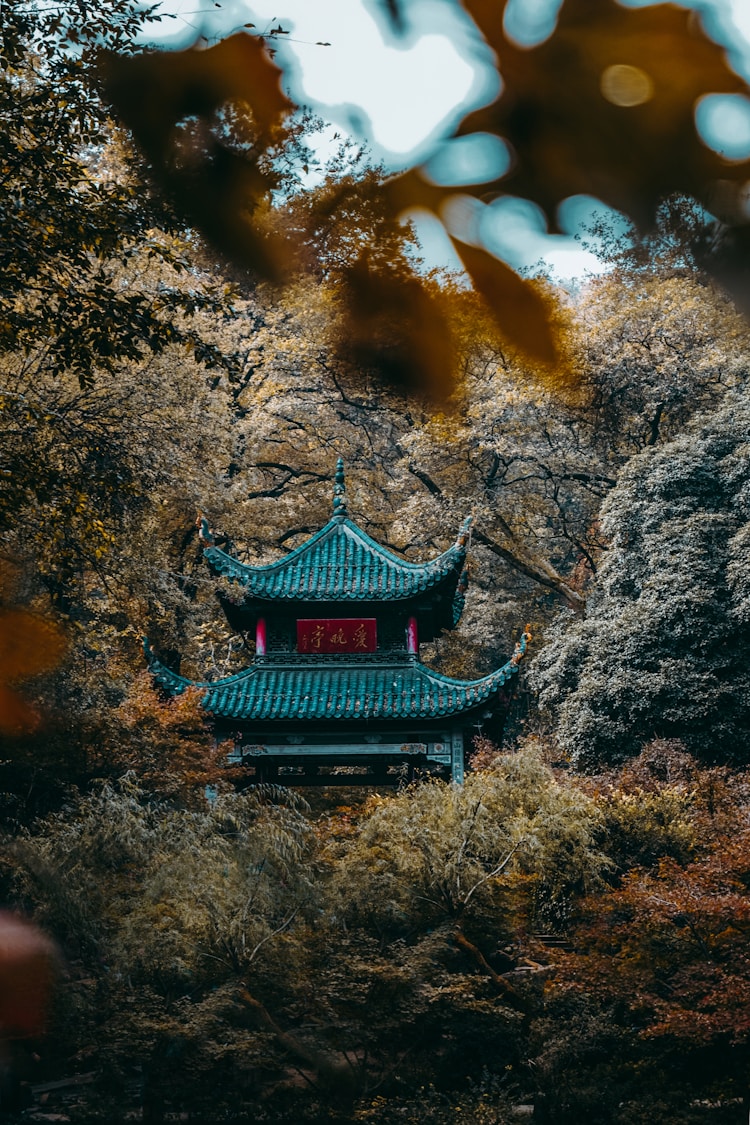 岳麓山旅游,岳麓山调研报告插图2