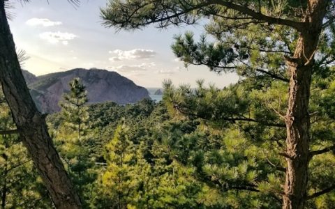 端午节烟台旅游最佳去处,端午节烟台旅游