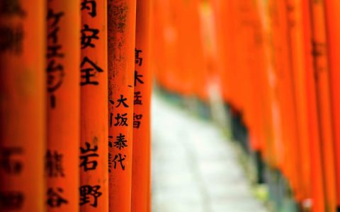如何进行红色旅游的推介宣传,公费旅游八项规定内容
