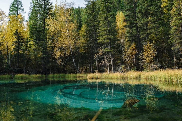 旅游景点上海游客免费,旅游景点上海周边插图2