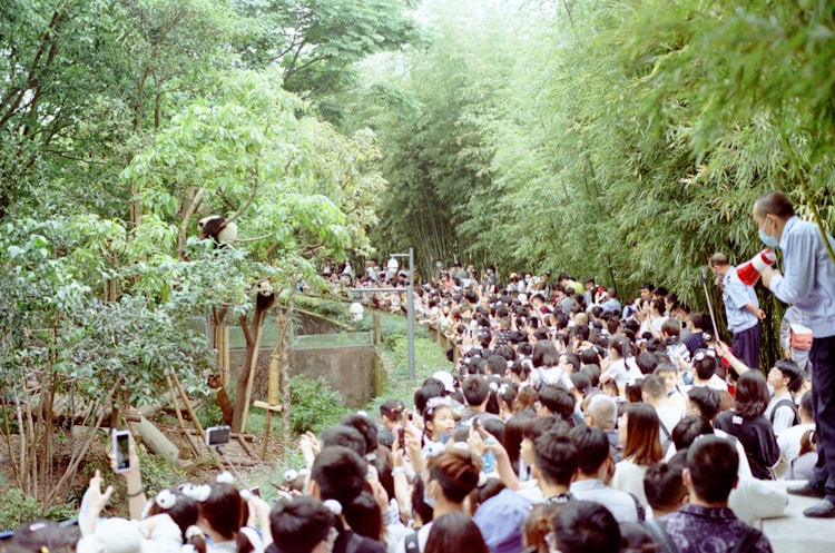 成都三日游大概多少钱,超详细成都三日游攻略费用插图2