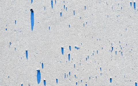 2019年白洋淀景区游客接待量,白洋淀旅游资源