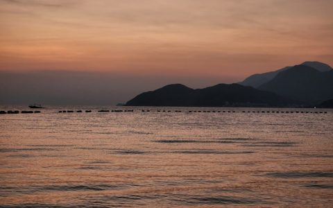 公司送给员工开工礼物,百岁画家彭祖华
