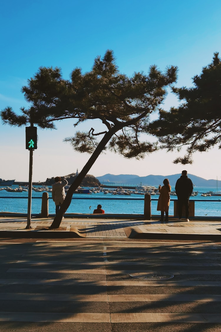 青岛旅游配文字朋友圈,青岛旅游配文插图