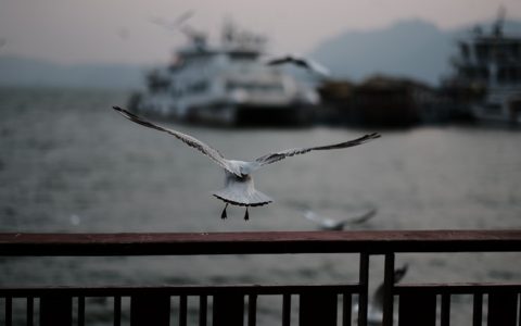 昆明生态旅游发展现状,昆明生态旅游