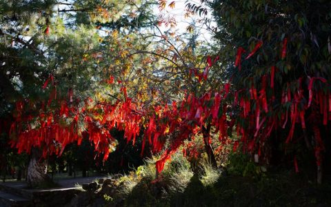丽江旅游学院电话多少,丽江旅游必去景点