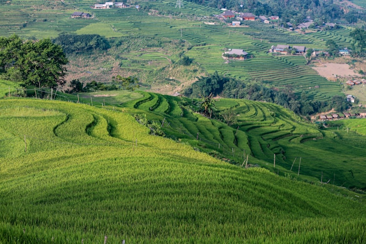 乡村旅游村庄,乡村旅游景区游玩项目插图2