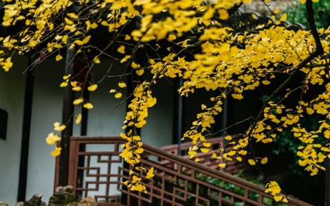 无锡到大别山旅游攻略,无锡到大别山旅游攻略自驾