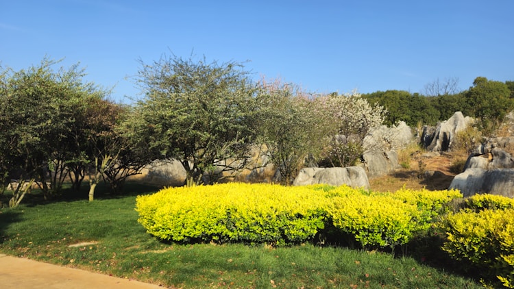 春节昆明周边好玩的地方,昆明周边春节旅游推荐插图