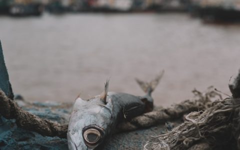 泰州旅游景点一日游攻略,泰州旅游景点推荐