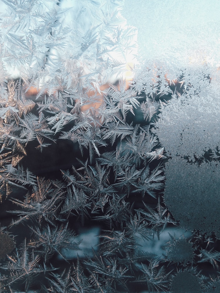 西邻雪山地址,西邻雪山海拔多高插图2