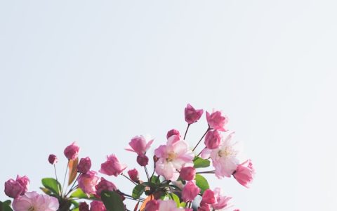 台州旅游一日游,台州花海在哪个地方