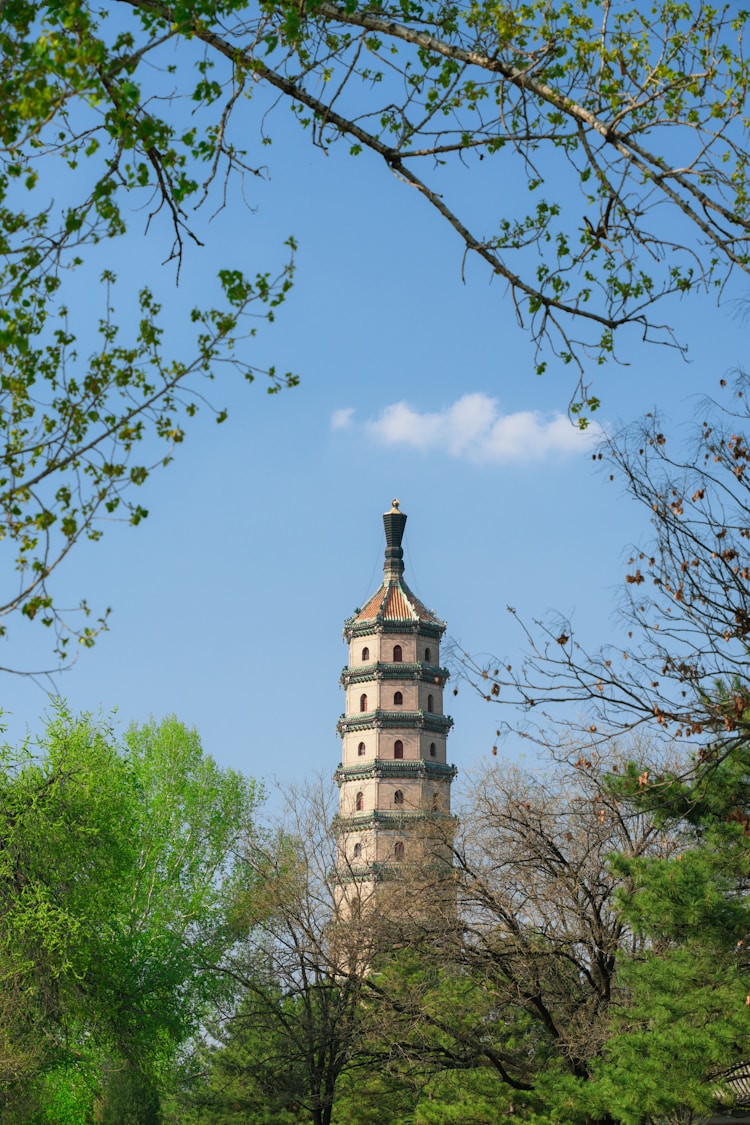河北霸州旅游,河北霸州旅游必去十大景点排名插图2