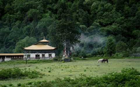 几月份去云南旅行最好,几月份去云南旅游最好