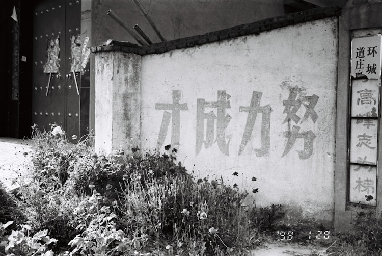 驻马店旅游必去的几个地方,驻马店近处旅游地点插图2