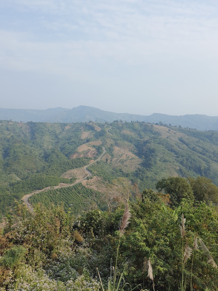 旅游景点的要素有哪些,旅游景点三要素插图2
