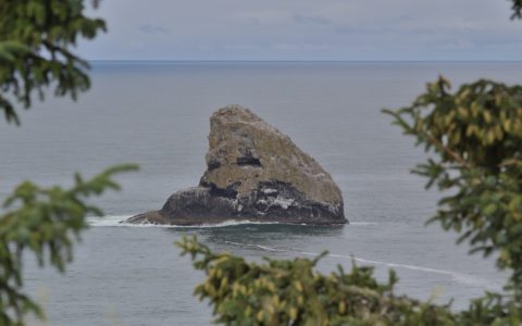 旅游景点上海游客免费,旅游景点上海周边