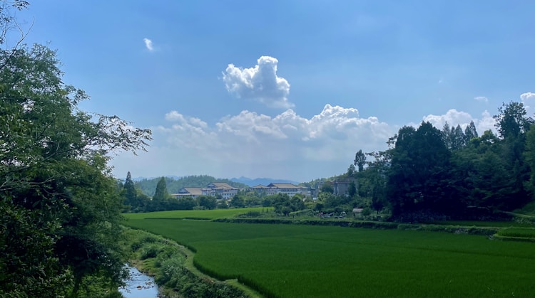 泰州旅游景点一日游攻略,泰州旅游景点推荐插图2