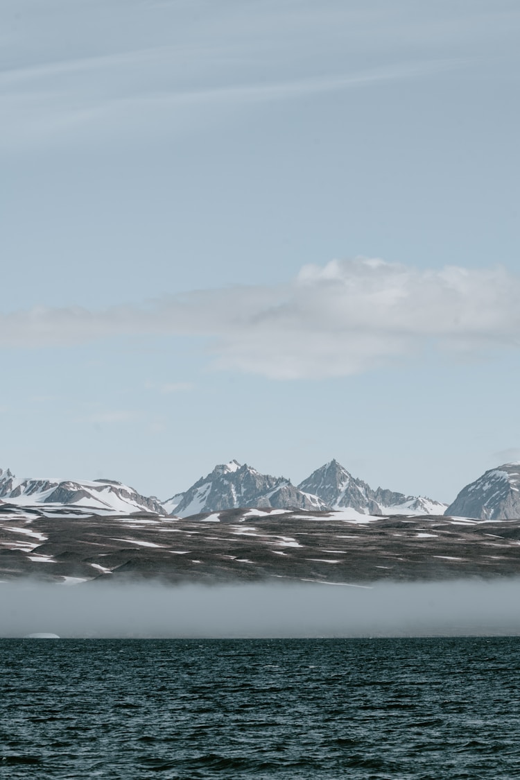 北极旅游地点,去北极旅游插图2