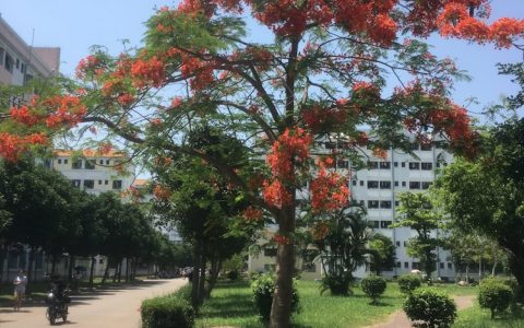 海口到北京旅游,海南海口旅游攻略必去景点