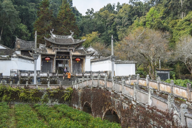 去云南旅游价钱,现在去云南旅游安全吗插图2