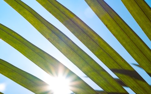 全域旅游的五大特征,全域旅游政策