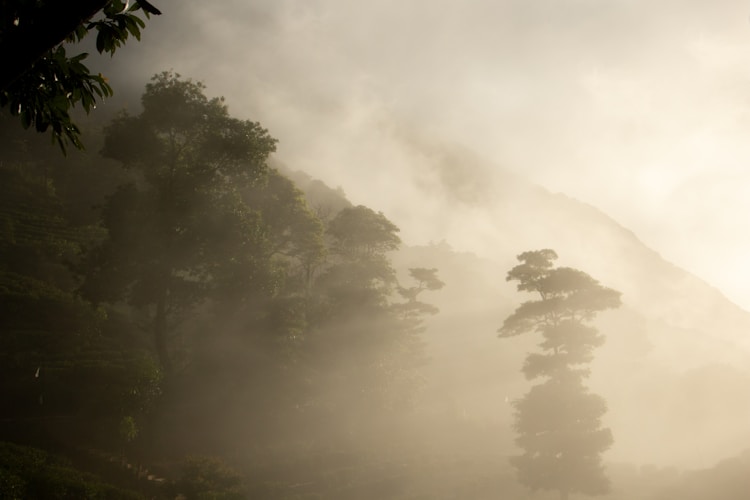 清远英德游玩攻略,清远英德旅游区插图2