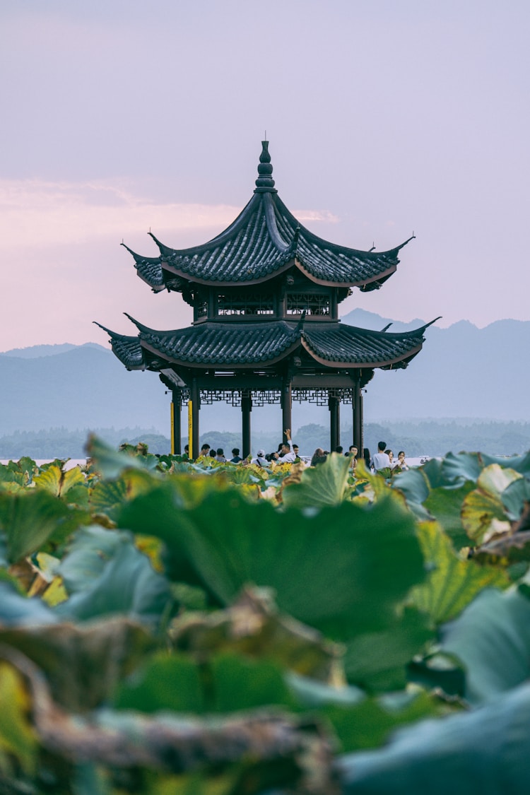 住哪个地方好,带孩子杭州旅游的文案插图