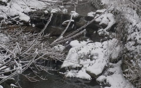 如何去庐山旅游,为啥不去庐山旅游