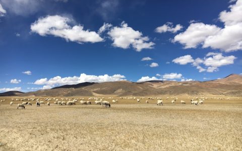 西藏旅游价值,西藏旅游目的