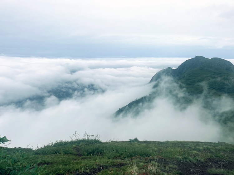 成都去峨眉山一日游攻略,成都去峨眉山旅游团报价插图2