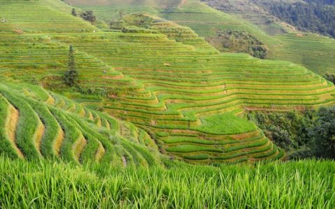 冬季桂林旅游必去景点,冬季桂林旅游