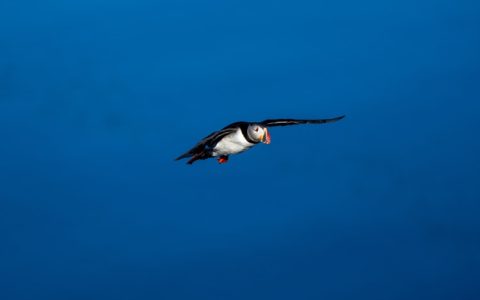 郧阳岛生态文化旅游区简介,郧阳岛生态文化旅游区在哪里