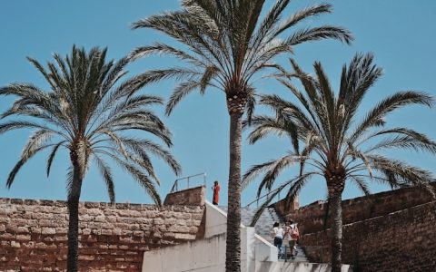 旅游企业标准化和个性化协调研究分析,旅游企业