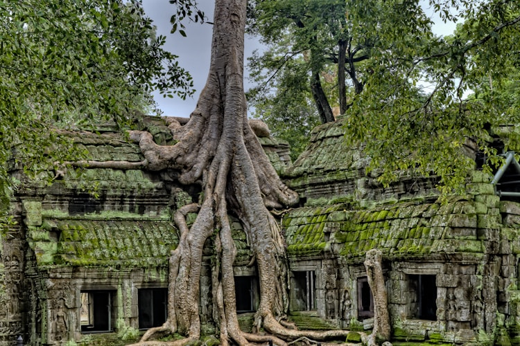 柬埔寨旅游报价,柬埔寨旅游签证费需要多少钱插图