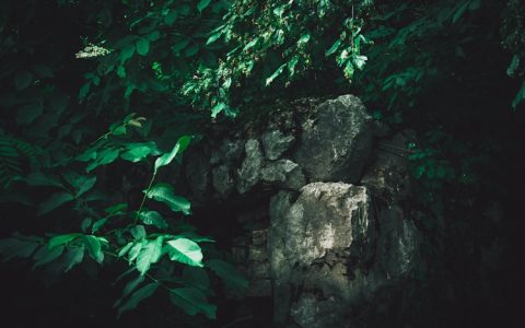 北京旅游商品服务中心电话,北京的旅游商品