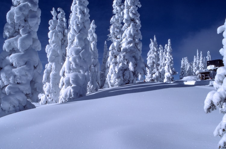 西岭雪山十月份有雪吗,西岭雪山十月旅游攻略插图