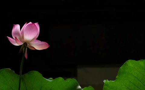 江西省的旅游景区有哪些,江西省的旅游资源可以概括为红色摇篮绿色家园古色厚土