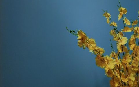 兴宁什么旅游区最出名,兴宁游玩