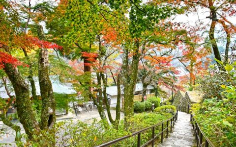 红河州旅游攻略必去景点,红河州旅游图