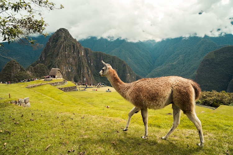 马鞍山当涂旅游景点有哪些,马鞍山当涂旅游攻略插图