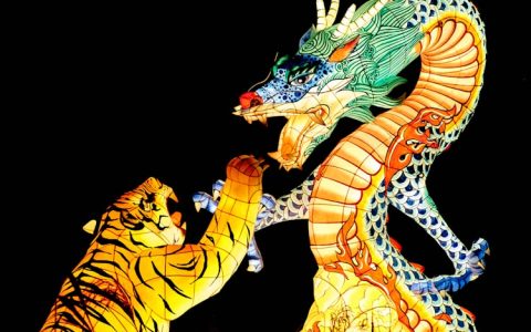 翼神龙多少钱,翼神龙架旅游
