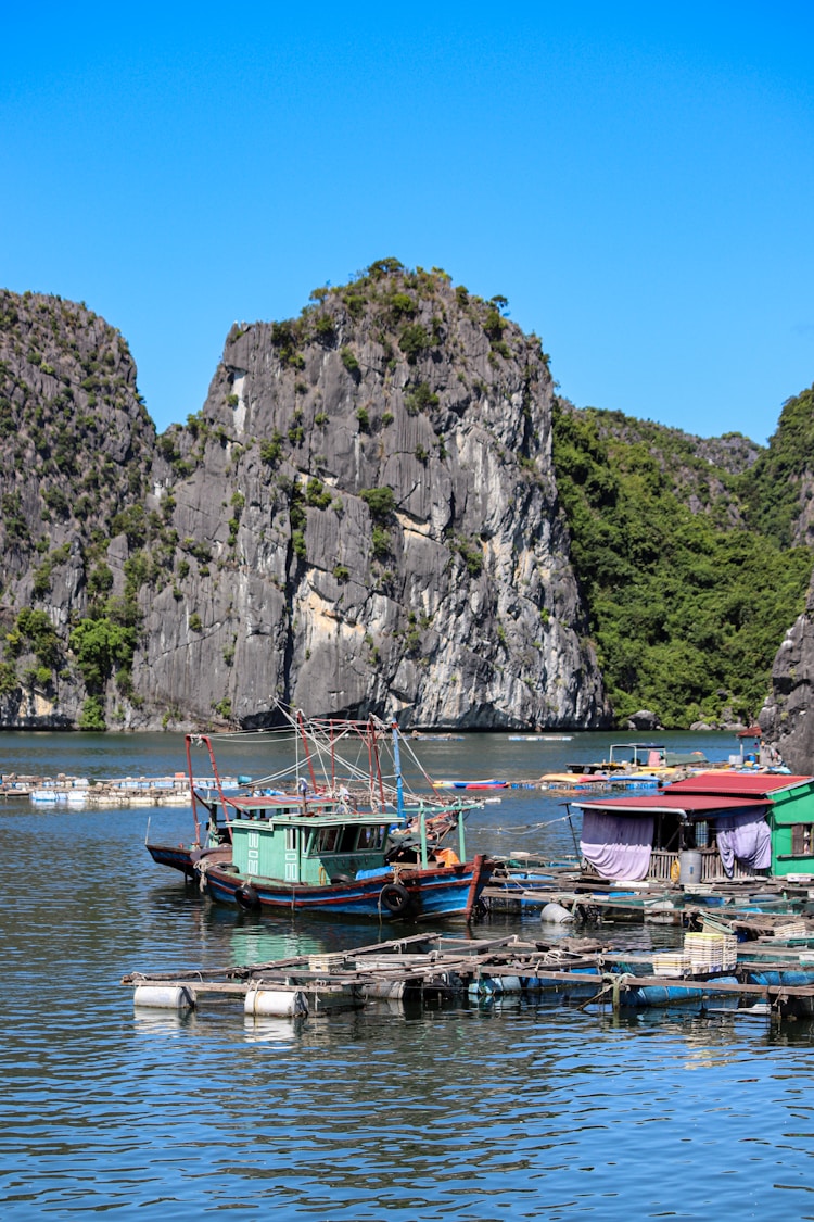 越南旅游口号大全,越南旅游口号霸气押韵插图2