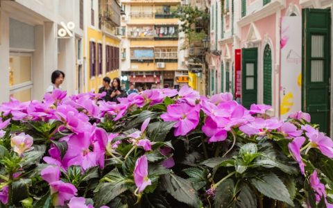 澳门旅游需要办理什么手续,澳门旅游塔门票价格