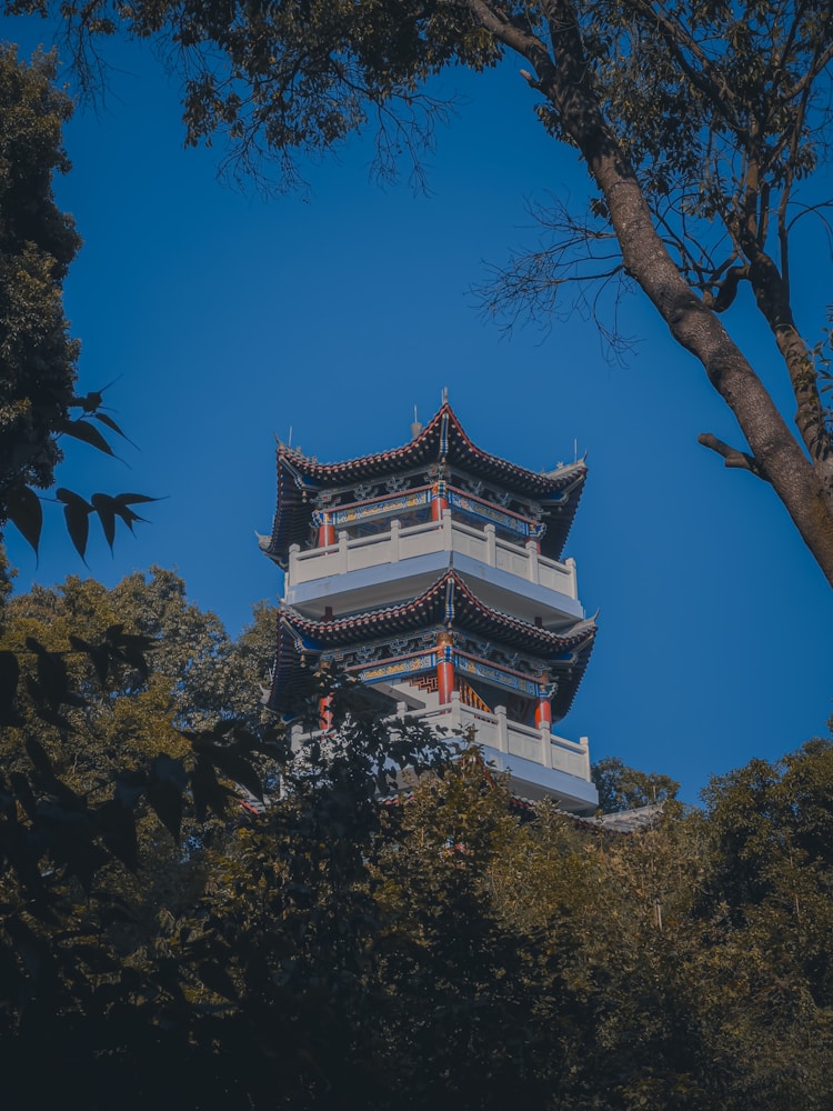 河源旅游新闻最新消息,河源旅游文化插图