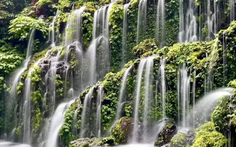 白水有什么旅游景点,白水有什么旅游的地方