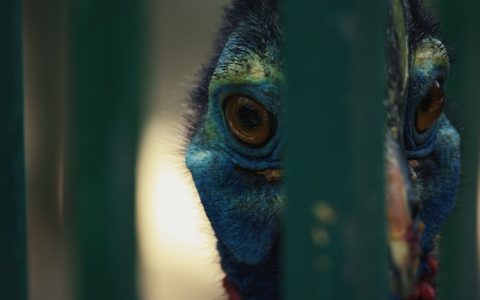 河南的旅游景点,河南主要旅游景点天气预报