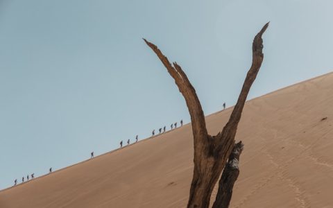 旅游团南极旅游团,北京旅游团四日旅游团