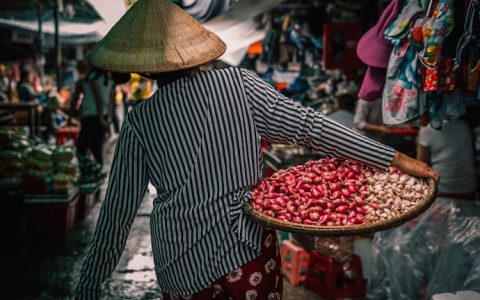 越南旅游气候,越南气候图